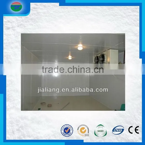 Most Popular Creative Super Quality Fish Cold Freezer/fish Blast Freezer/cold Storage/cold Room photo-5