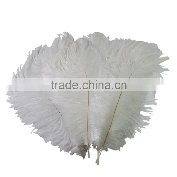 Best Price Natural Ostrich Plumes, Decorative Ostrich Feathers Wholesale photo-2