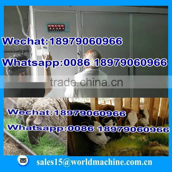 Hydroponics Trays Fodder Machine/animal Feed Machine photo-6