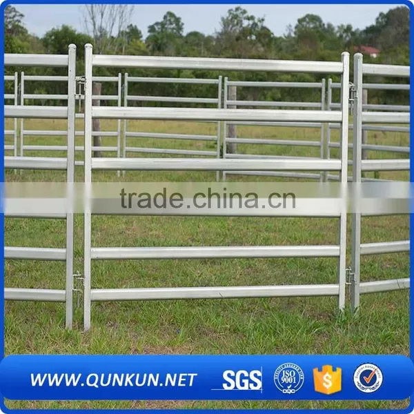 China Cheap Cattle Panels for Sale / Galvanized Cattle Fencing / Live Cattle Prices photo-3