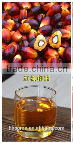 Huatai Small Scal Palm Oil Machine, Palm Oil Extraction Plant With Crude Palm Oil Specification photo-5