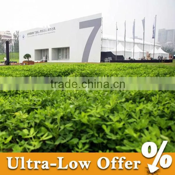 L Series Big Exhibition Tent for Sale photo-3