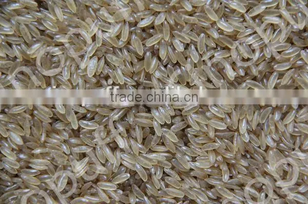 Automatic Nutritional Rice Plant/Artificial Rice Machine Equipment photo-3