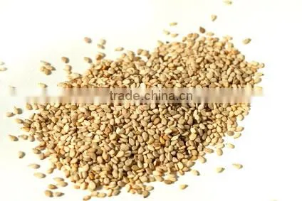 Sesame Seed Black P.e.| High Quality Black Sesame Seeds Powder Sesamin photo-5