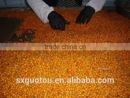 100% Nature Wild Frozen Seabuckthorn Fruit photo-4