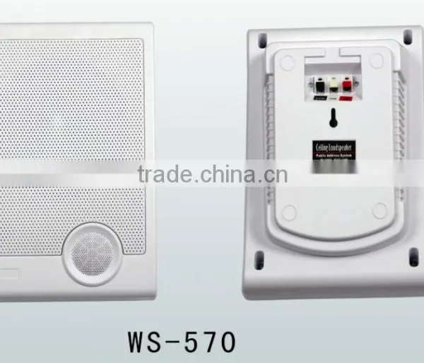 WS-570 Professional Indoor Wall Hanging Speaker, pa Speaker Box photo-5