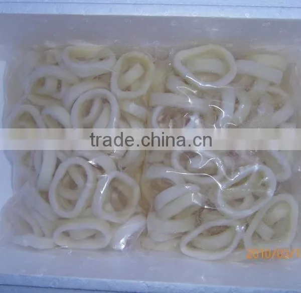 Frozen Squid photo-5