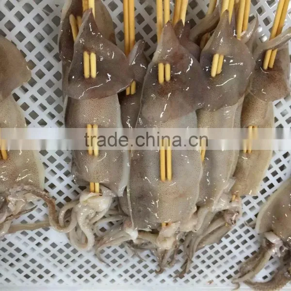 2016 Top Quality Squid String