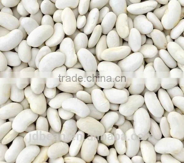 White Kidney Bean photo-2
