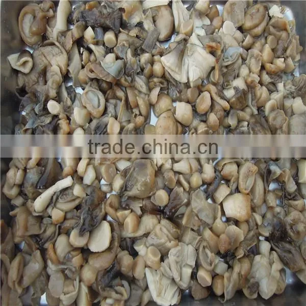 Market Prices for Mushroom Price Canned Mushroom photo-2