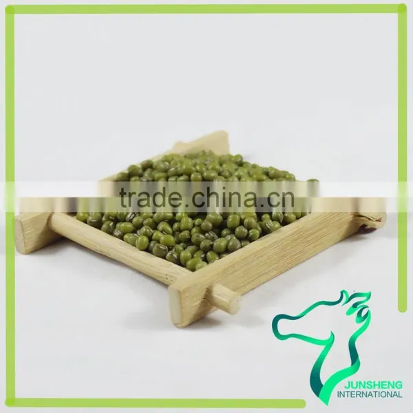 Green Mung Bean/Green Gram/Mung Beans Sprouting photo-4