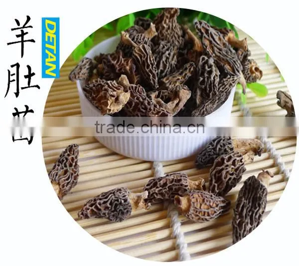 Wild Dried Morchella Vulgaris Grown in Mountain photo-3