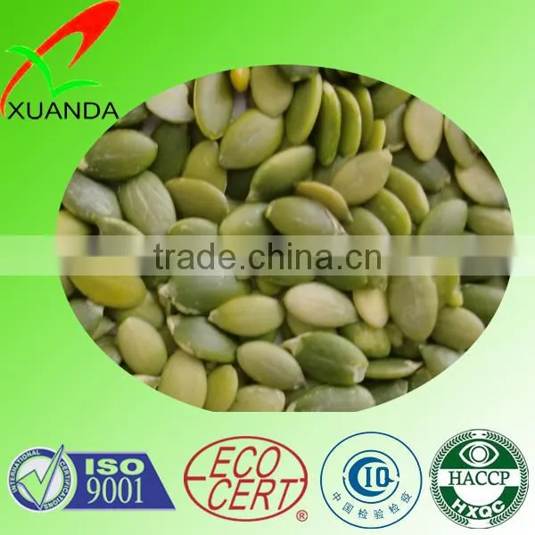 High Quality China Shine Skin Pumpkin Seed in Shell photo-2