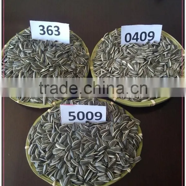 Sell 2015 New Chinese Sunflower Seeds photo-2