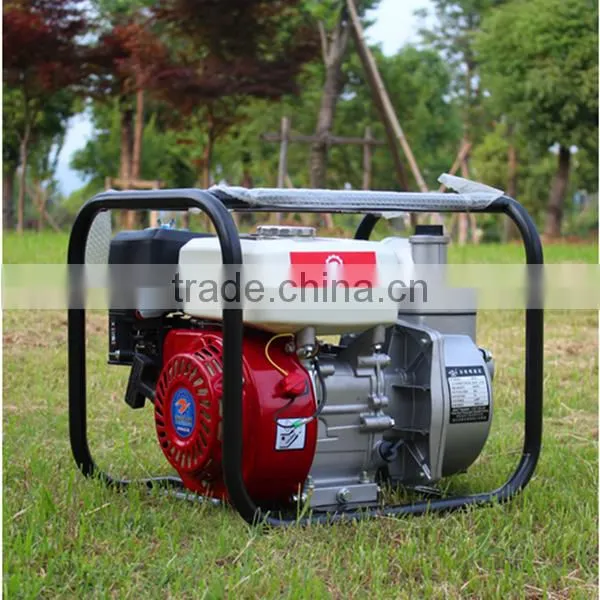 China Best Vlais Factory Cheap Price Centrifugal Water Pumps