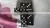 Horn Dices photo-3