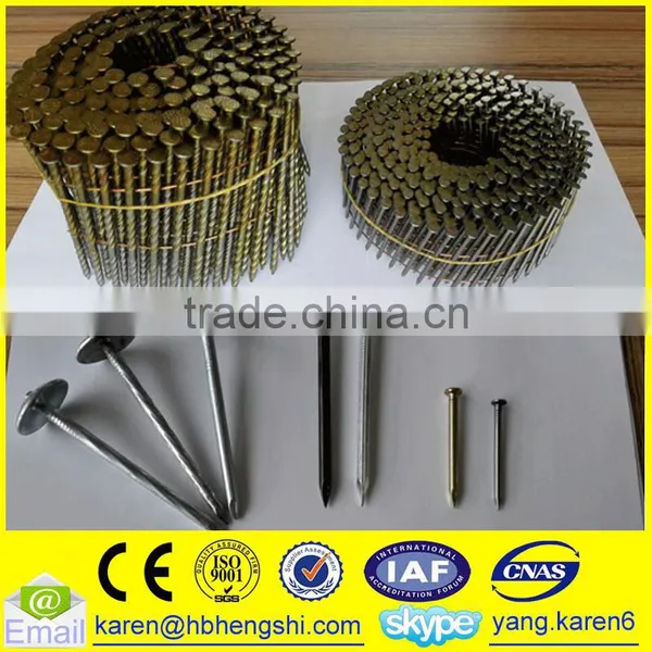 Umbrella Head Iron Nails, Galvanized Nails, Iron Nails,coil Nails, Nails Supplier photo-5
