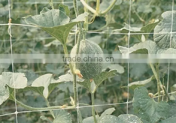 Plant Support Net