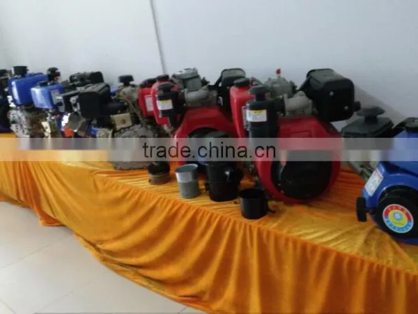 Disel Engine DW178F photo-4