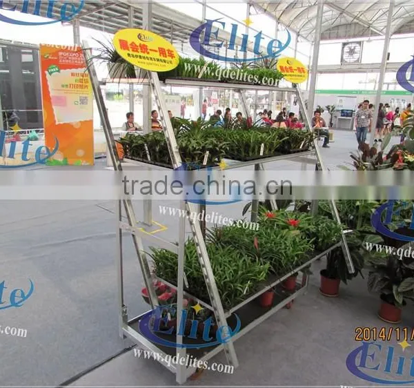 A37 Vegetable Seedings Plant Trolley Container photo-4