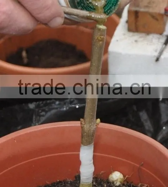 2015 New Omega Grafting Machine Tool With the Survival Rate Over 90% photo-3