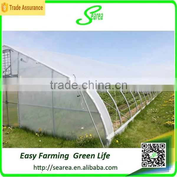 Professional Greenhouse Manufacturer Complete Greenhouse for Sale photo-3
