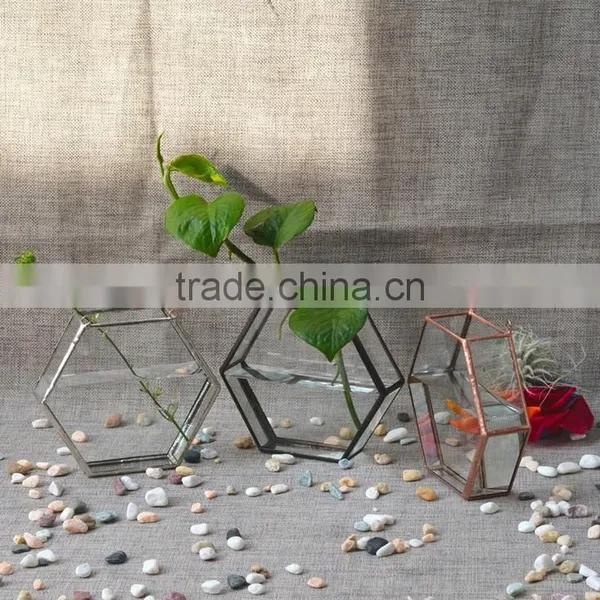 New Design Home Decor Hanging Terrarium Hydroponic Glass Containers photo-2
