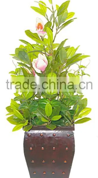 Indoor Home Garden Decorative 250cm Height Make Artificial Green Live Magnolia Bonsai Tree EXLYPZ06 0510 photo-2