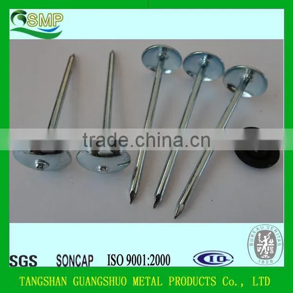 Q195 Galvanised Umbrella Roofing Nails With Rubber Washer From Factory photo-5