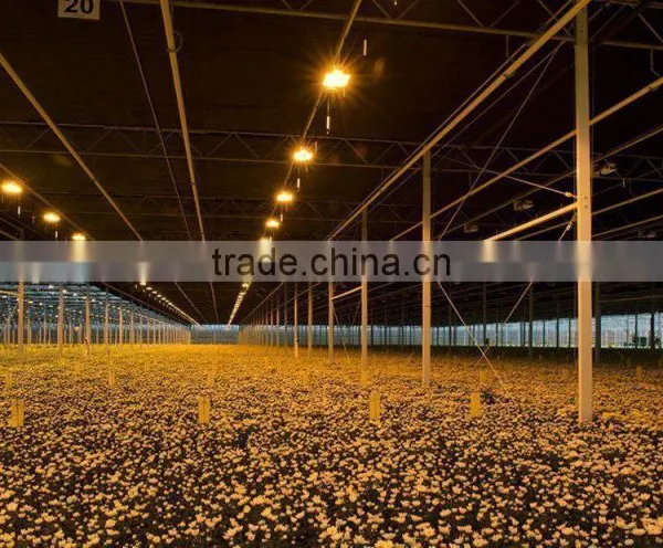 Good Quality Multi Span Polycarbonate Flower Greenhouse With Shading System and Growing Lighting System photo-3