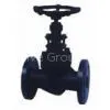 Forged Steel Globe Valve