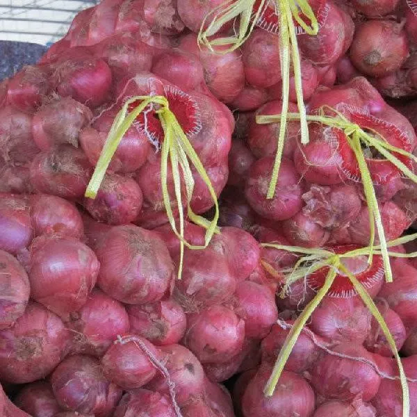 Wholesale New Fresh Red Onion With Good Price photo-5