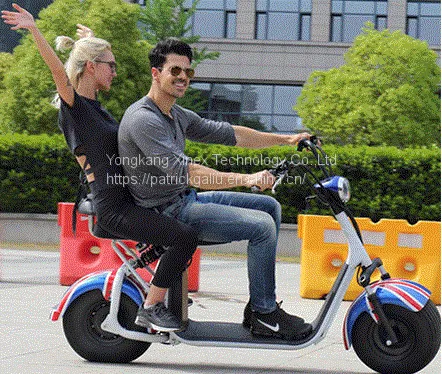 18 Inch Fat Tire Electric Scooter 1500w Citycoco Battery Pack Removable photo-3
