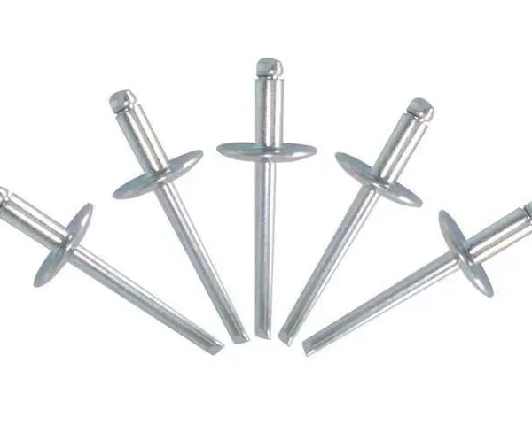 Customize Rivets of Various Models photo-2