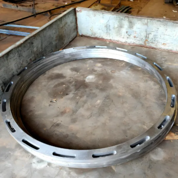 Special-shaped Flange Forgings photo-3