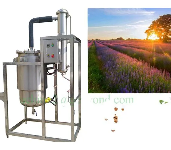 Industrial 100L - 500L Lavender Essential Oil Distiller Distillation Equipment photo-5