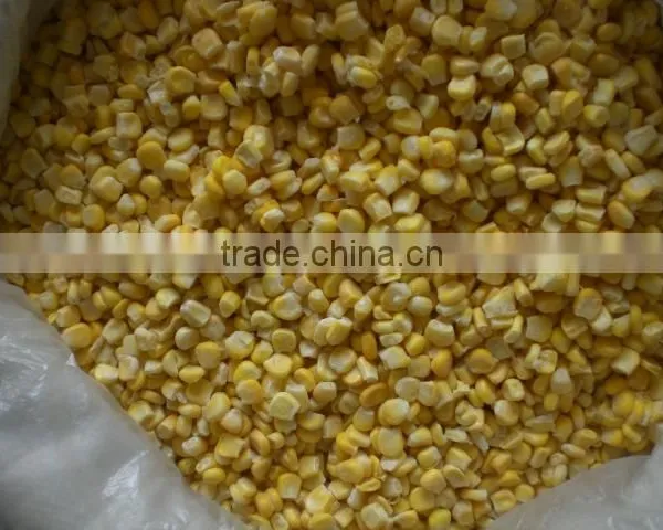 Frozen Corn