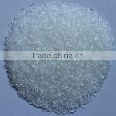 Monosodium Glutamate as Flavouring