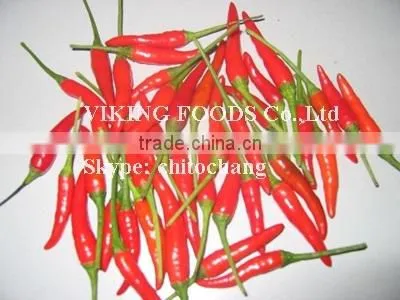 SMALL CHILI HIGH QUALITY FROM VIETNAM photo-3