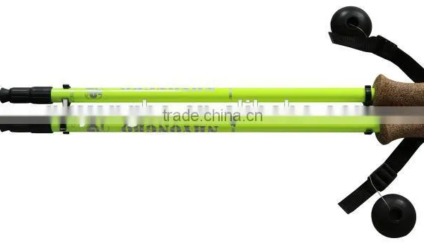 Telescopic & Functional Walking Stick