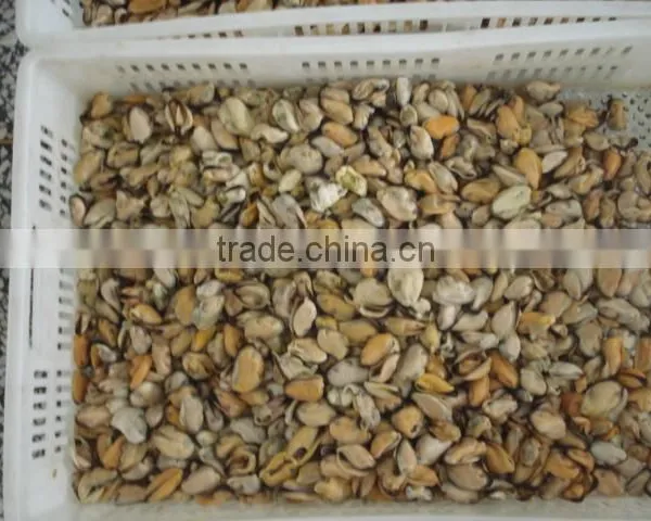 Canned Smoked Mussels photo-6