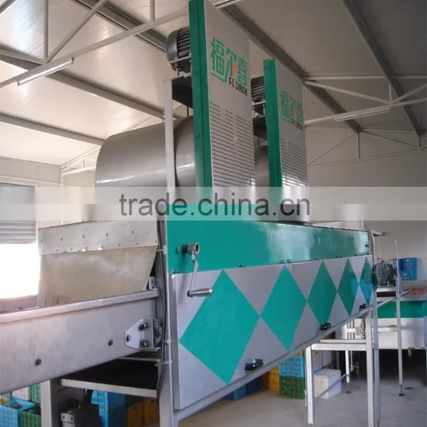 Persian Limes Sorter Machine photo-2