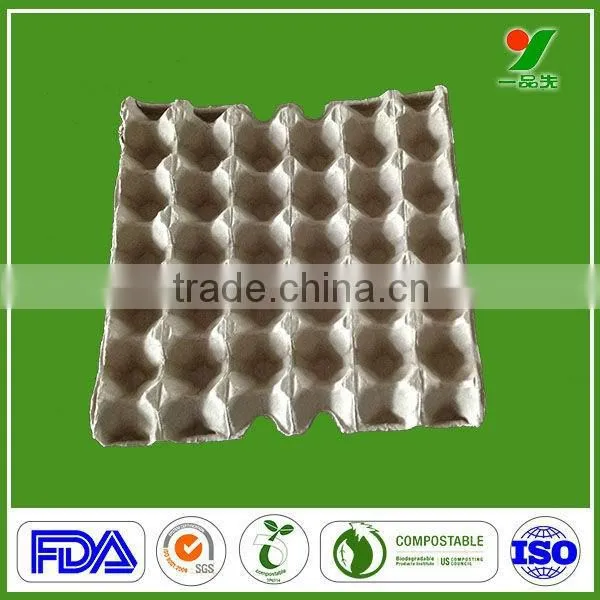 100% Biodegrable and Compostable Making Machine Egg Tray Carton photo-2