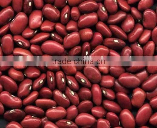 China English Red Kidney Beans for Sale photo-3