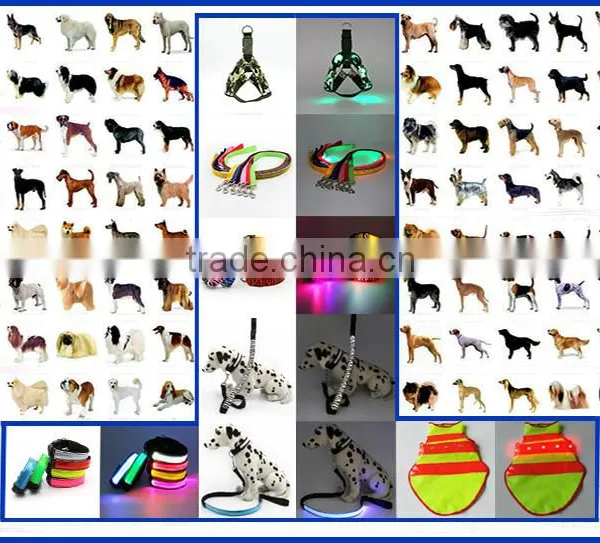 2015 Hot Selling Gleaming Pet Training Leash photo-4
