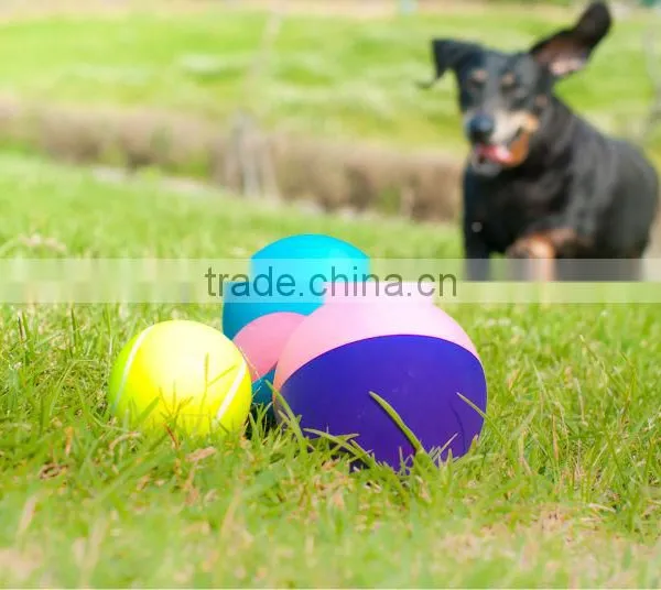 Wholesale Solid Pet Ball photo-2