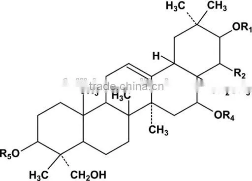 Gymnema Silvestre Extract Powder 25%/50%/75% photo-3