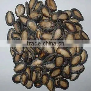Melon Seed