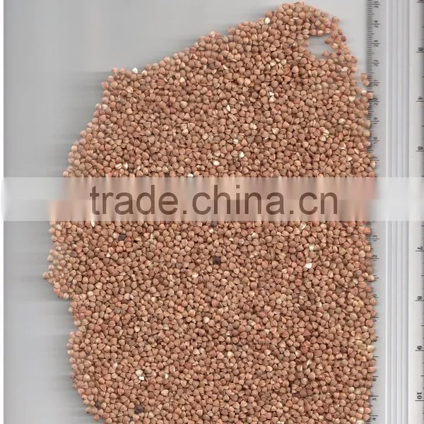 ROASTED BUCKWHEAT KERNEL