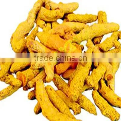 2015 Fresh Best Quality Carcuma Longa
